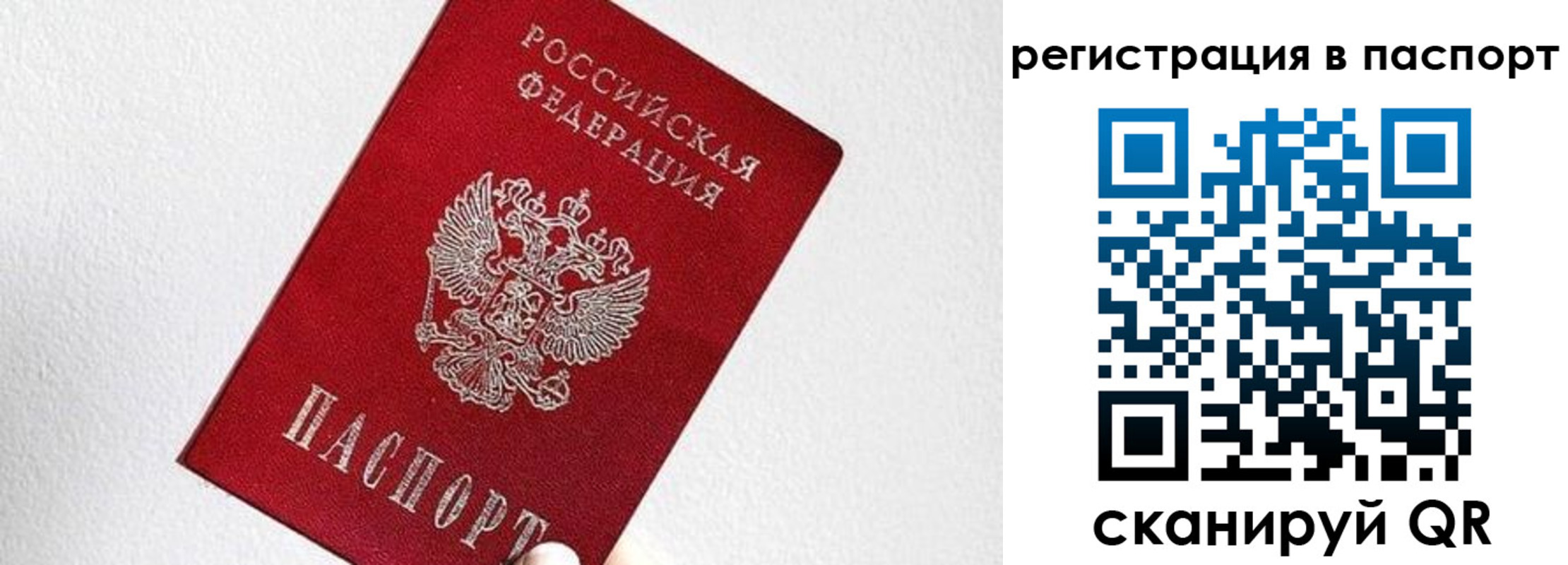 прописка для школы в Зеленогорске